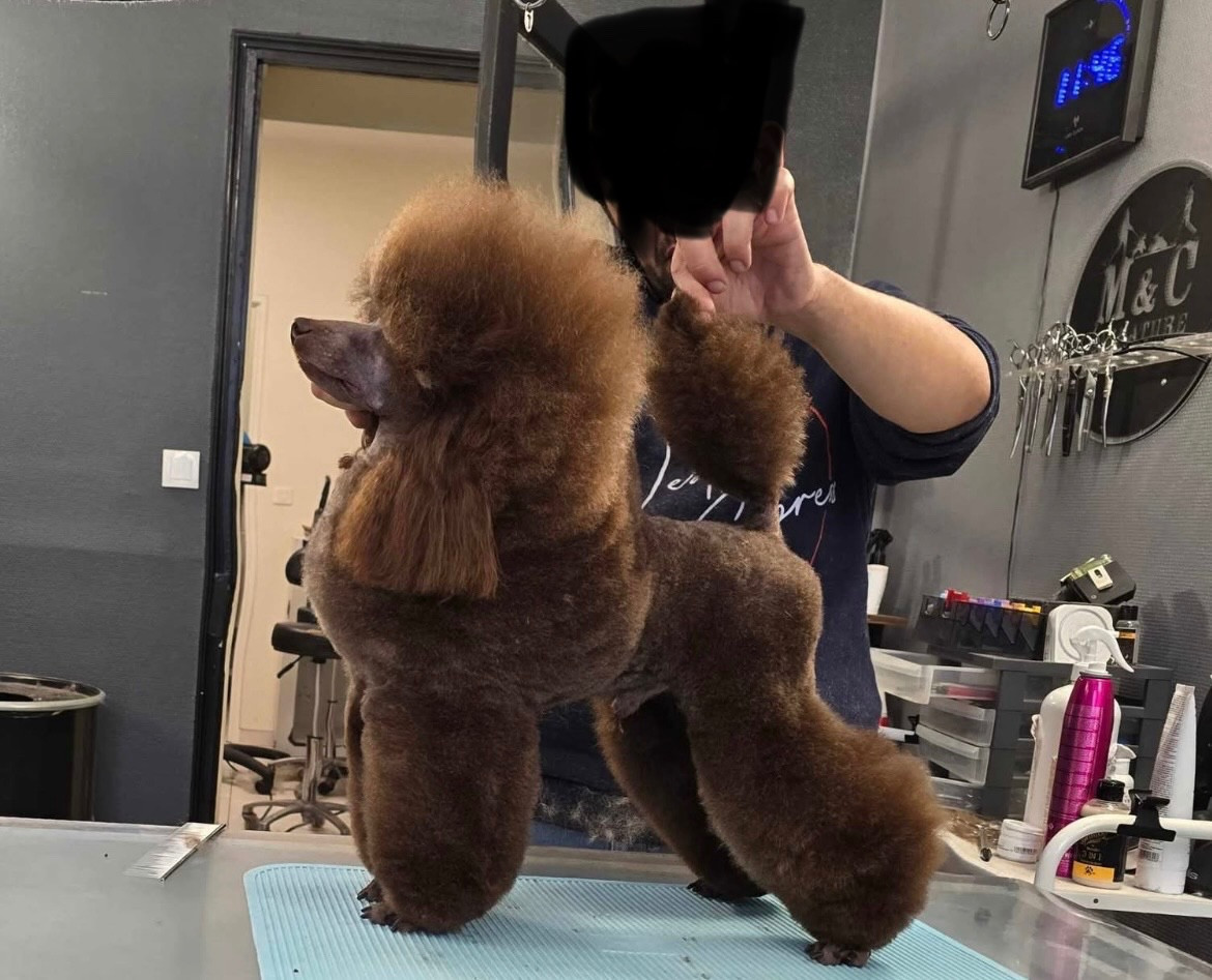 Un espoir des cerbois de la cheneveyre Titre Initial